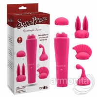 Klitoris Uyarıcı 4 farklı başlıklı Mini Vibratör Set 